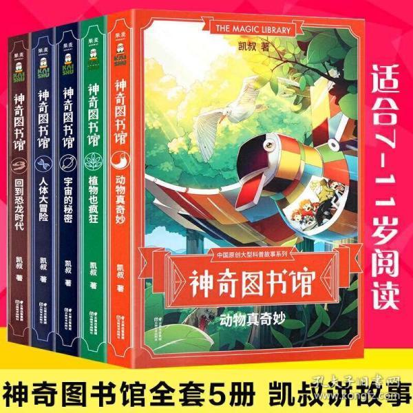 小猫钓鱼正版下载中文版